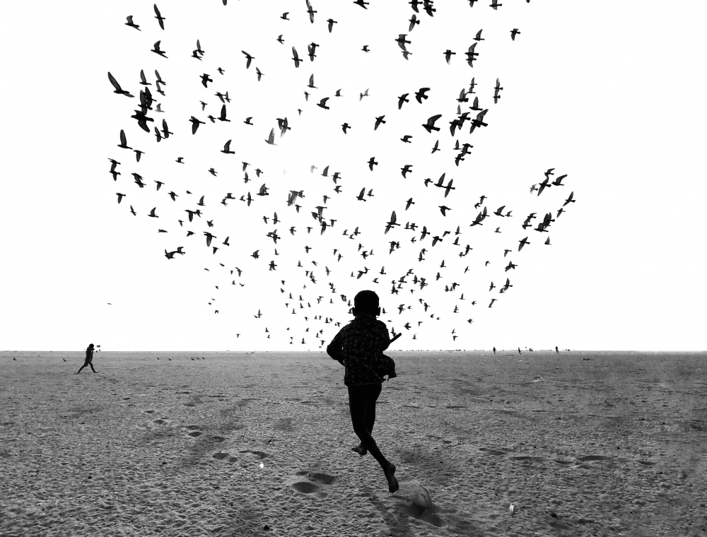 We Run, You Fly.