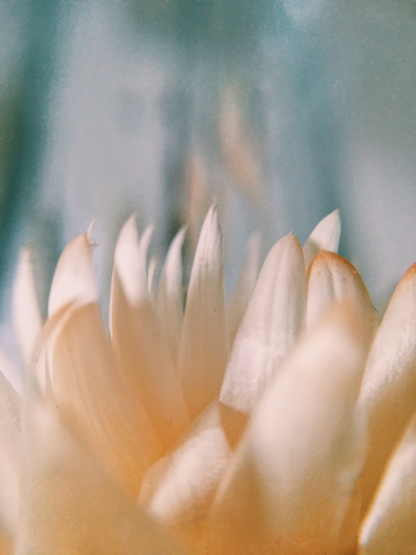 Ethereal Macro