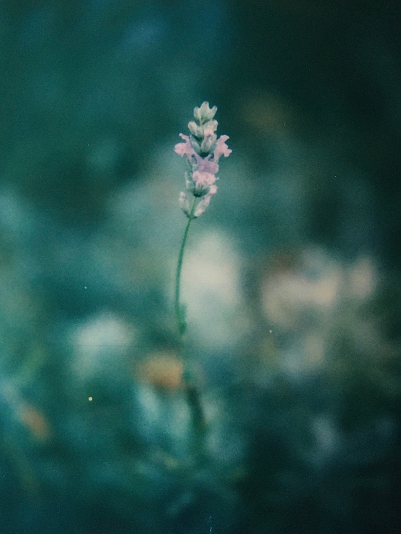 Ethereal Macro