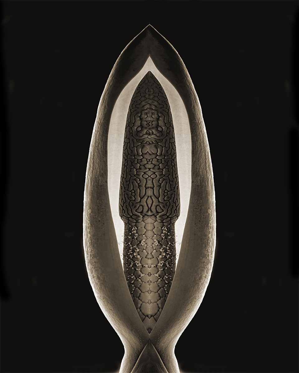 BOTANICALS