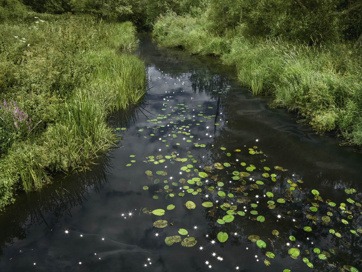 Chalk Streams 2023