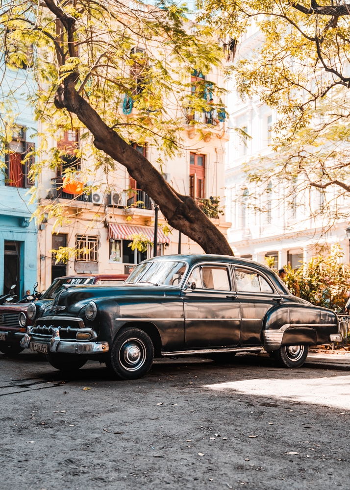 Life in Havana