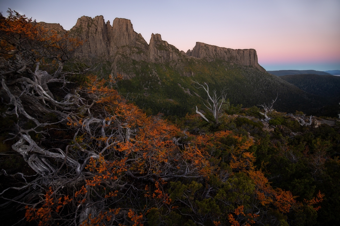 In the depths of Tasmania