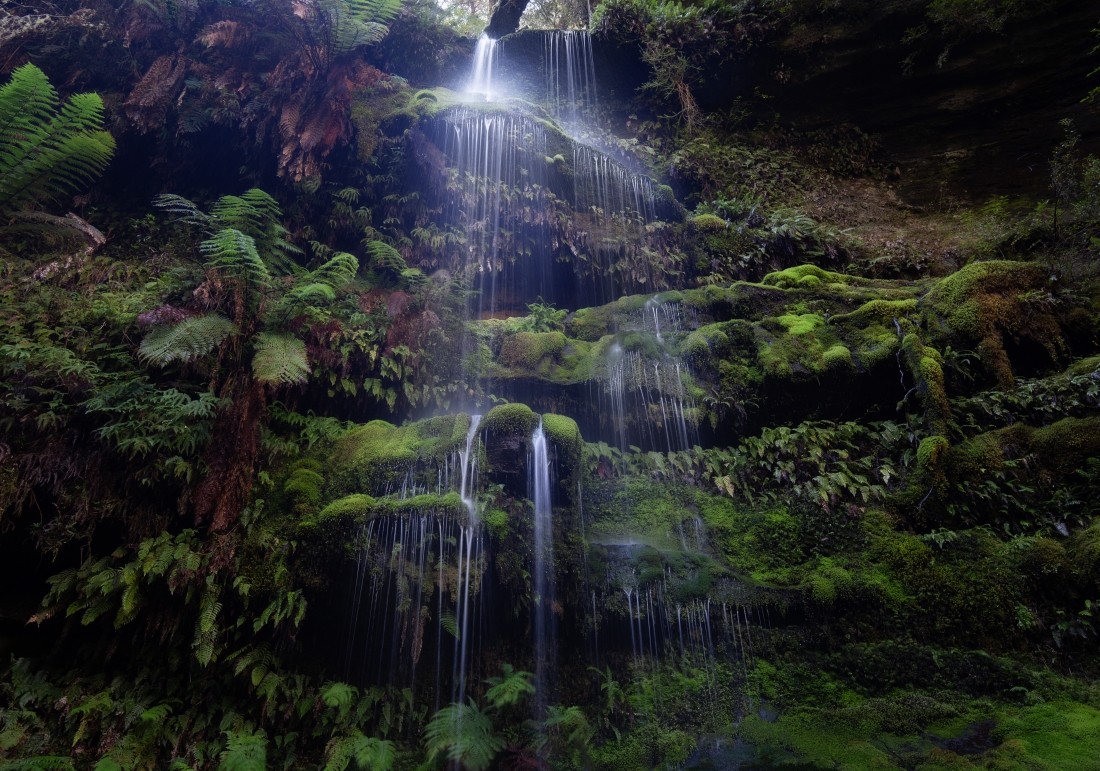 In the depths of Tasmania