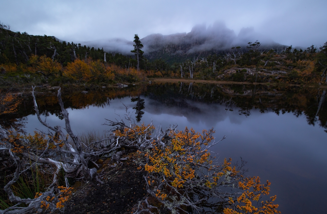 In the depths of Tasmania