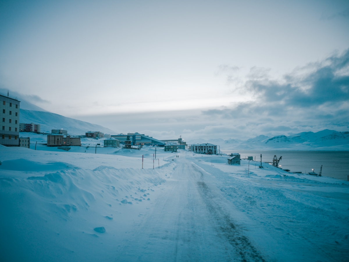 Arctic Dreams