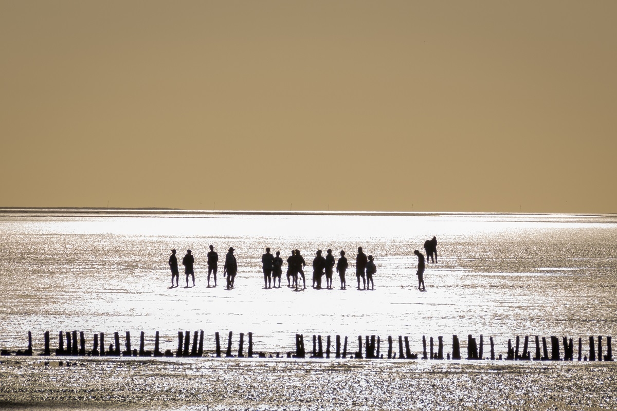 Low tide stroll