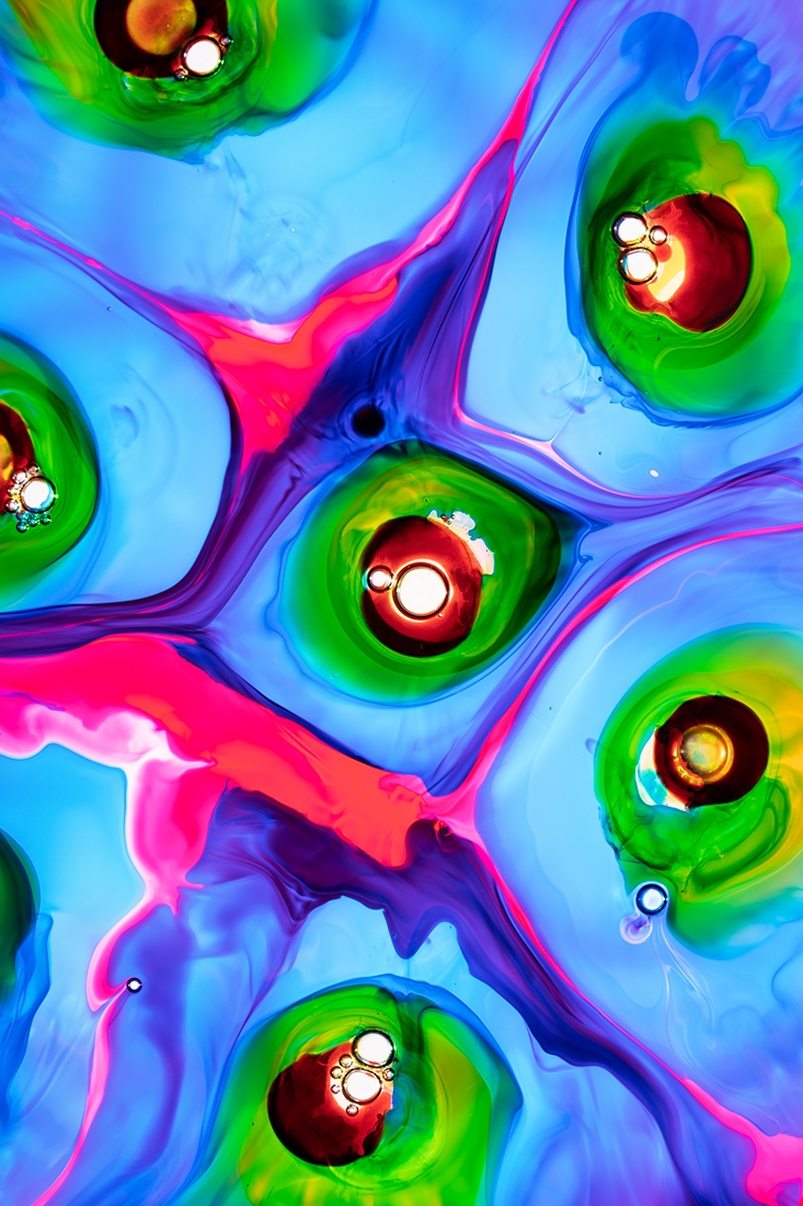 Cells