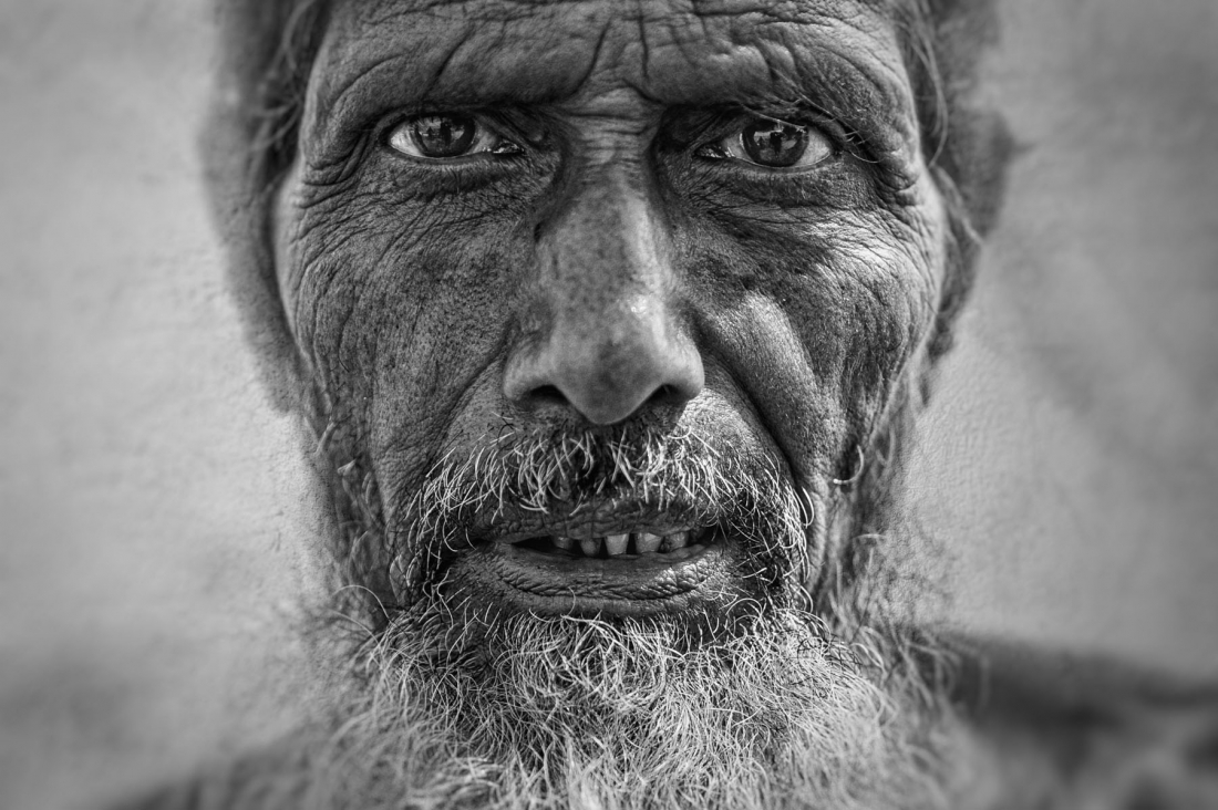 Haunting portraits