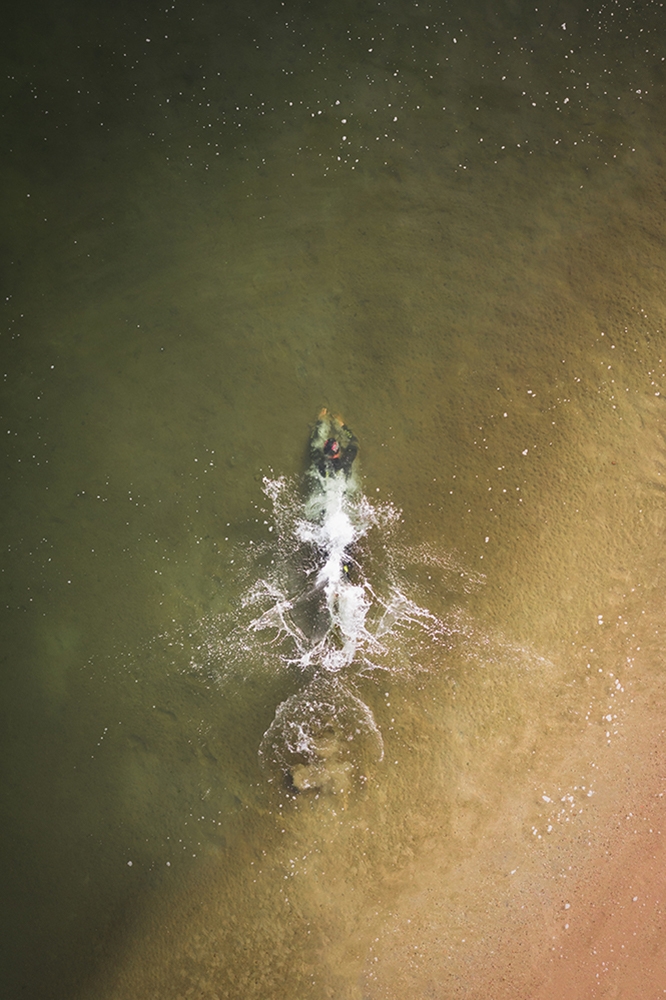 The art of falling. 