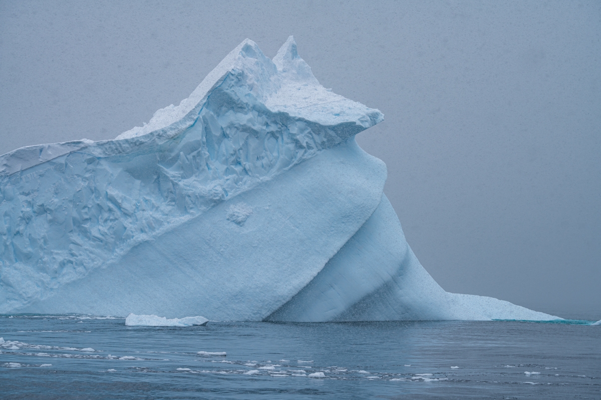 icebergs 