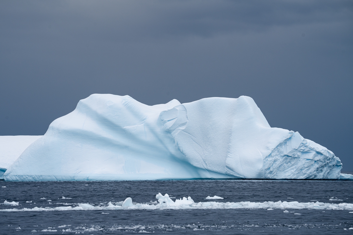 icebergs 
