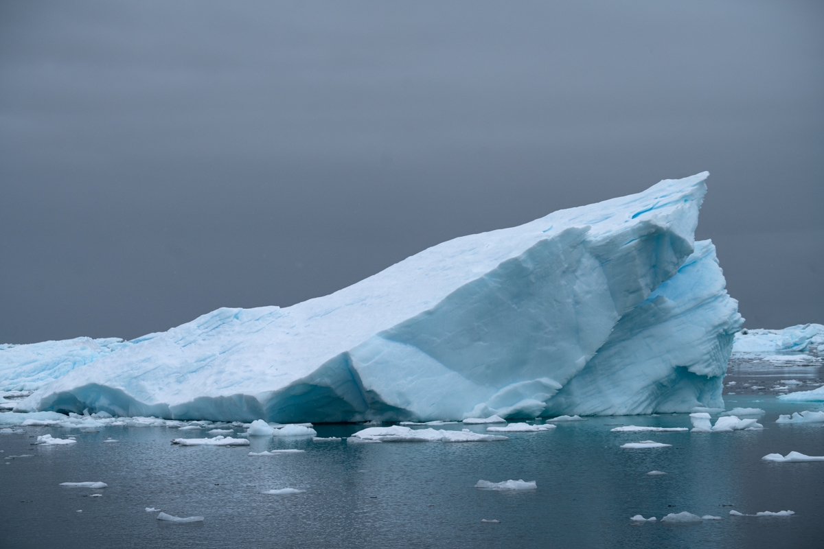 icebergs 