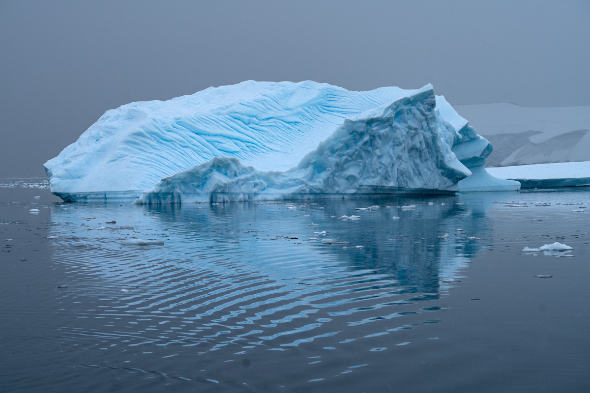 icebergs 
