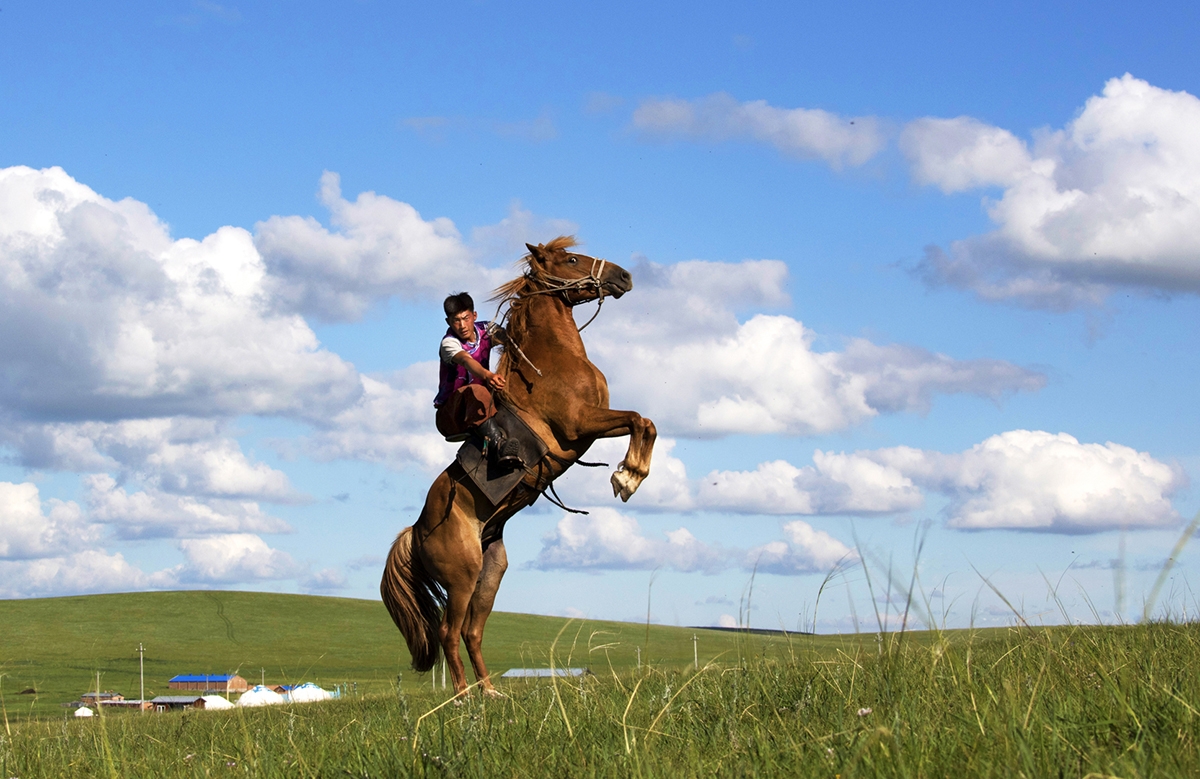 The Life on the Horseback of Herders
