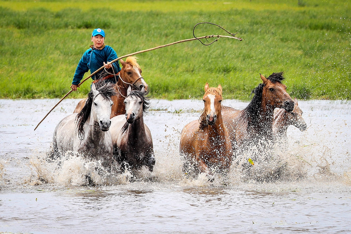 The Life on the Horseback of Herders
