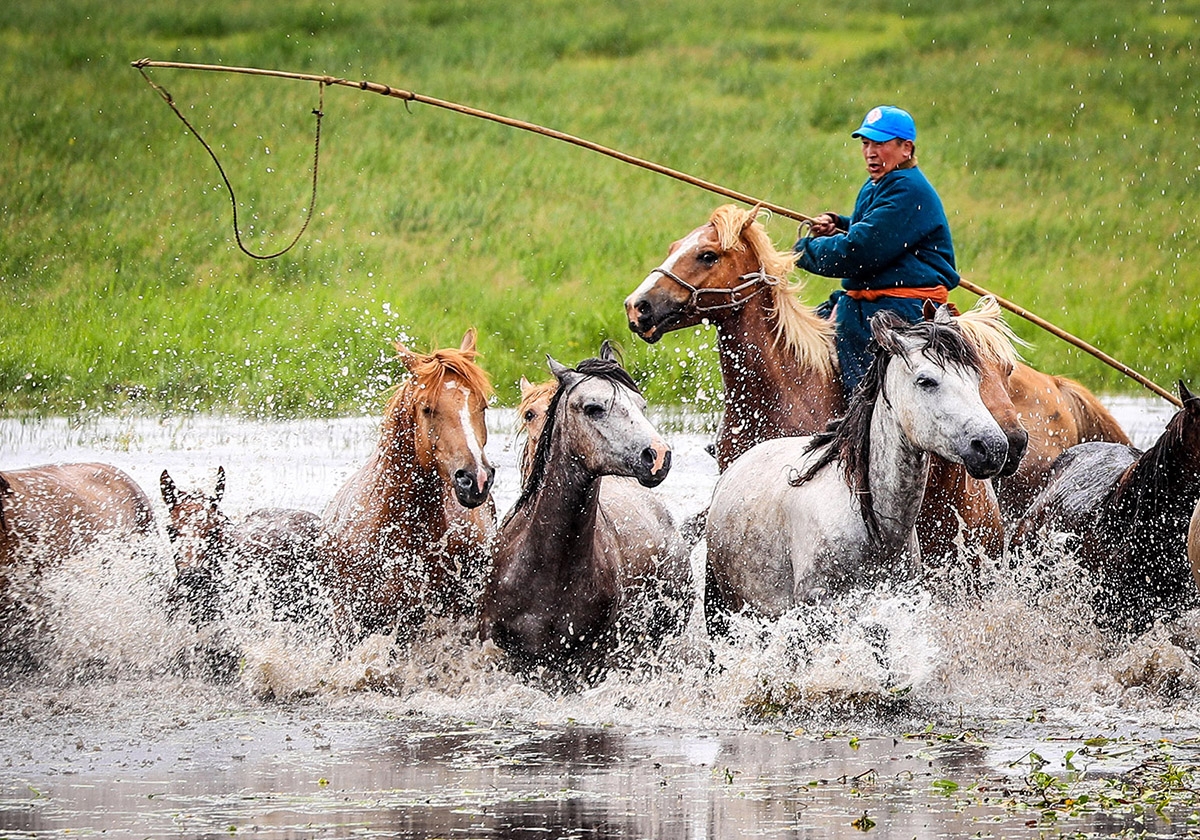 The Life on the Horseback of Herders