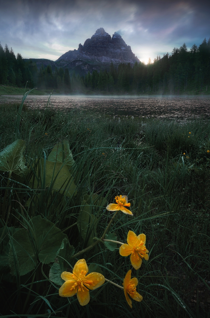 Around The Dolomites