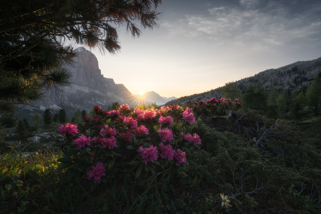 Around The Dolomites
