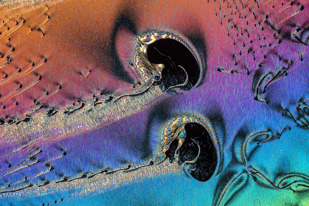 Annual Photography Awards winner PETER JUZAK