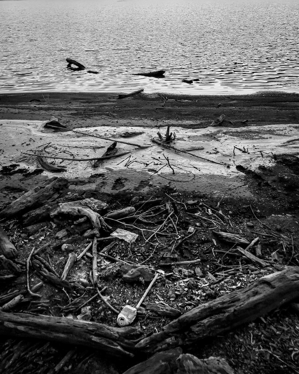 Stevens Creek Reservoir: Year 3