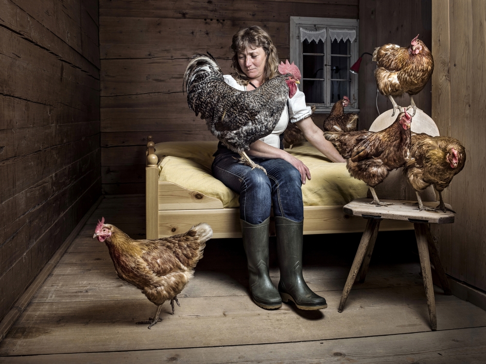 Humans and farm animals