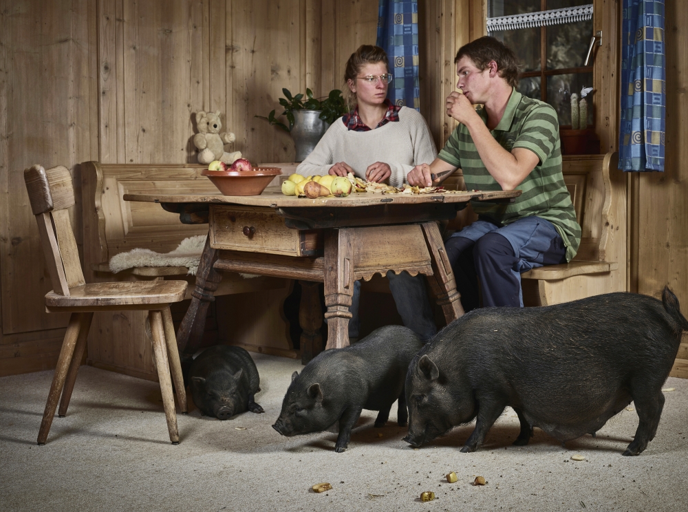 Humans and farm animals