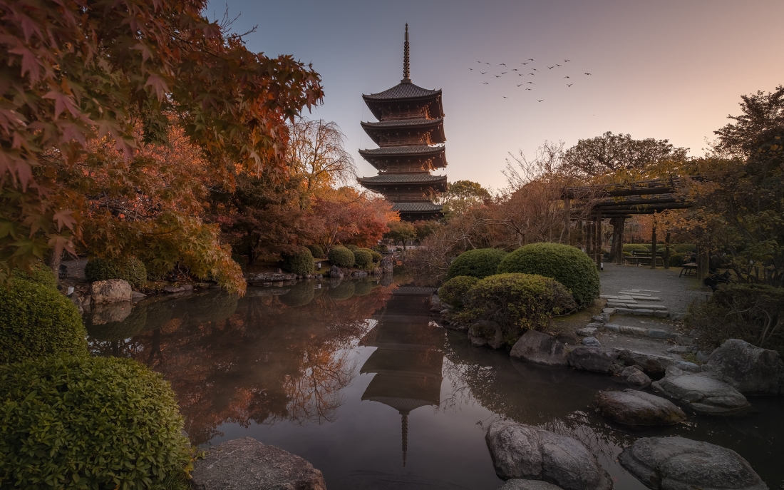 Silence of Tokyo