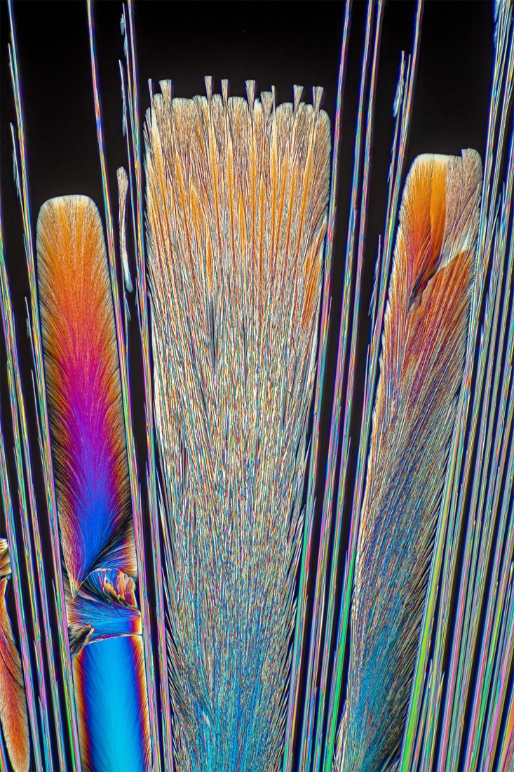 Microcrystals in polarised light.