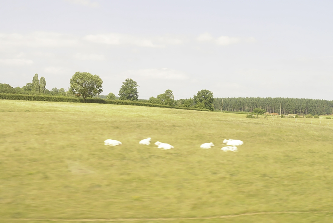 from tgv (French high speed train)