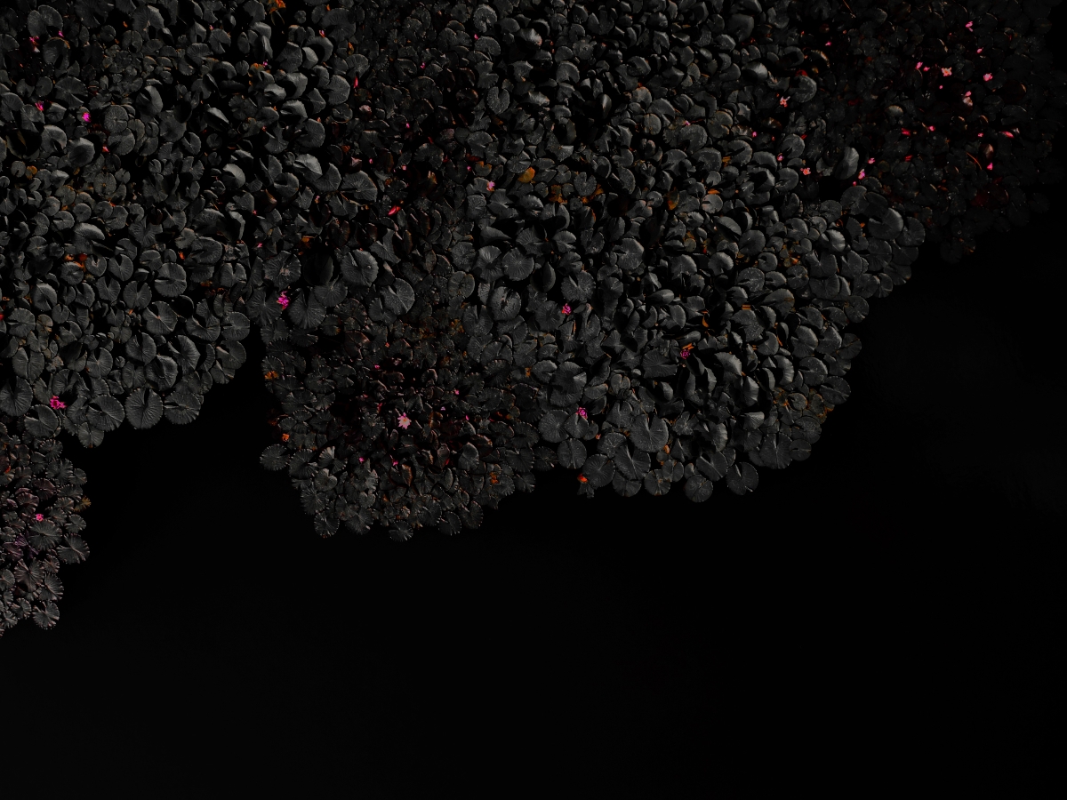 Annual Photography Awards winner TOMASZ MANDERLA