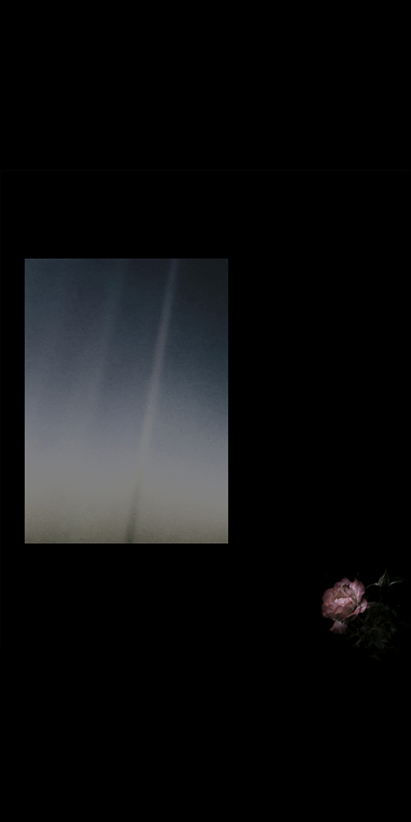 Photographie plasticienne 