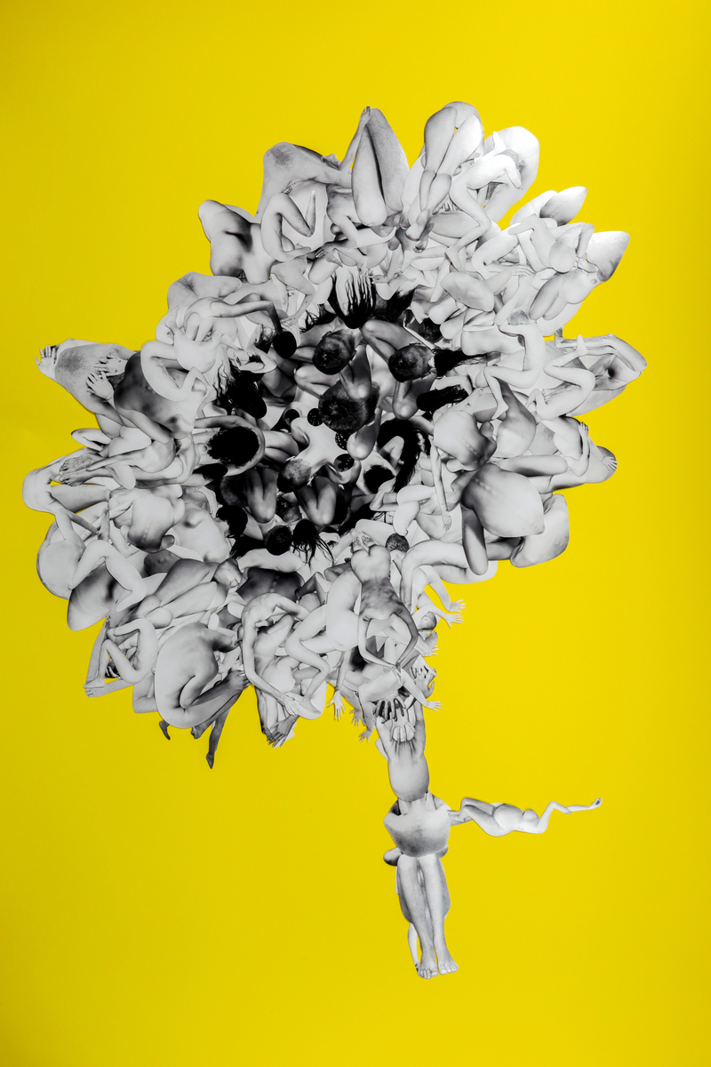 Corpus Floret