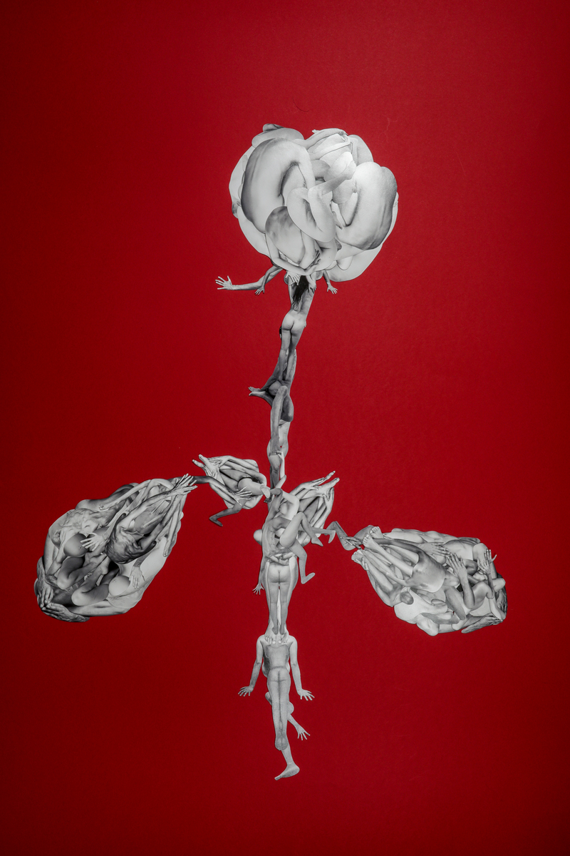 Corpus Floret