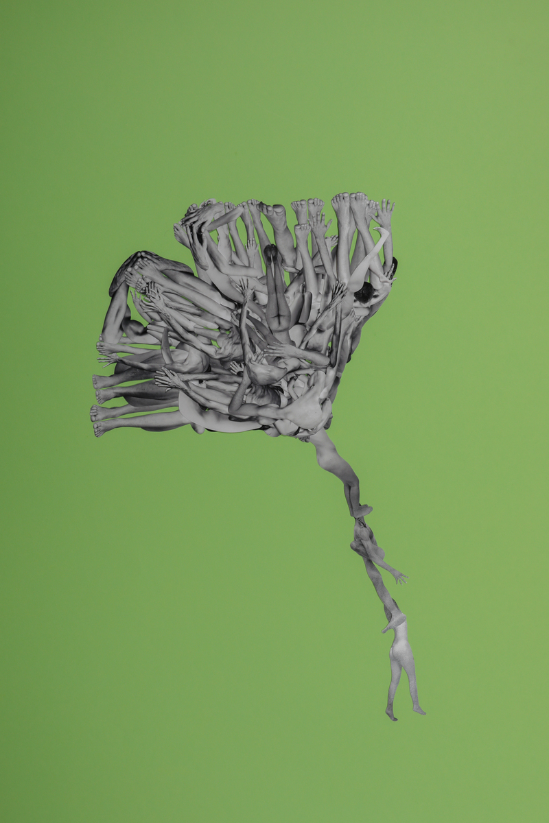 Corpus Floret
