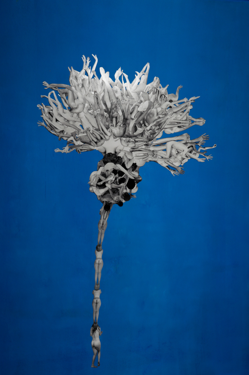 Corpus Floret