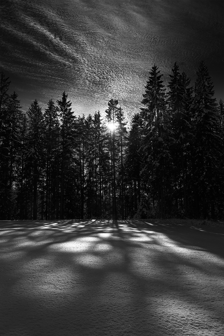 wintersunrise