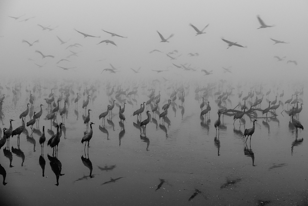 Awakenings