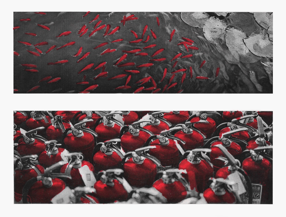 Collection of red