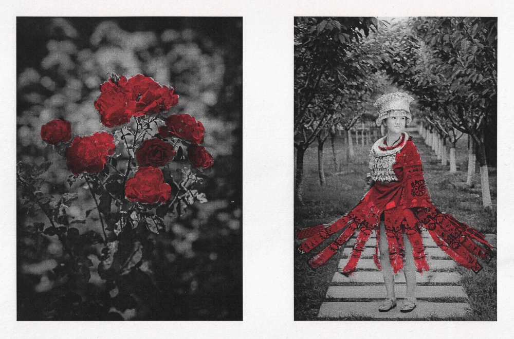 Collection of red