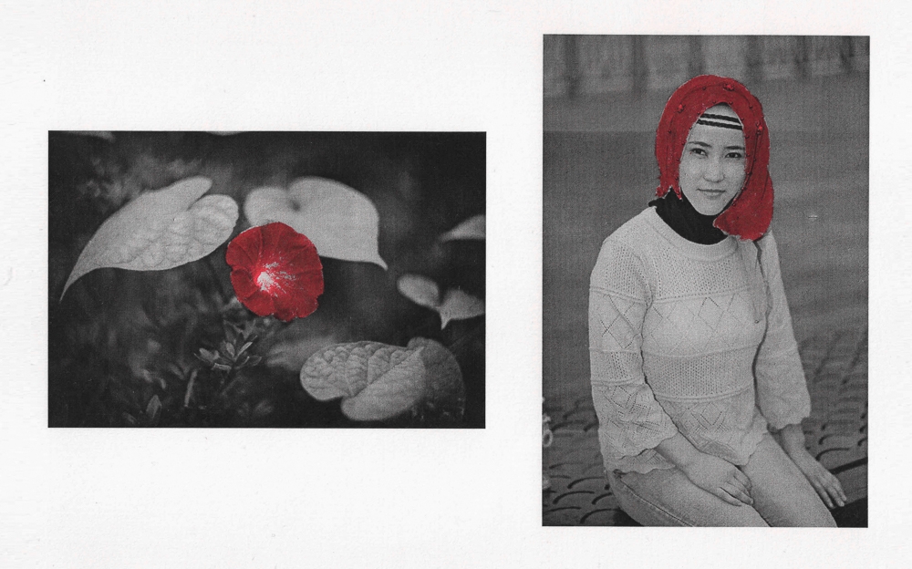 Collection of red