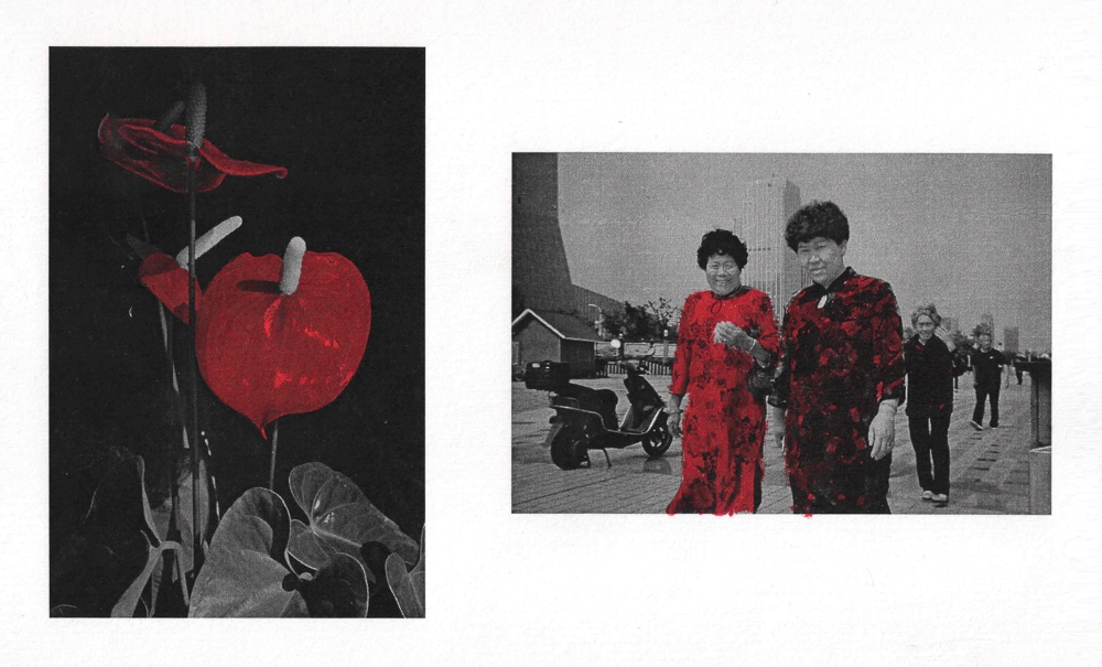 Collection of red