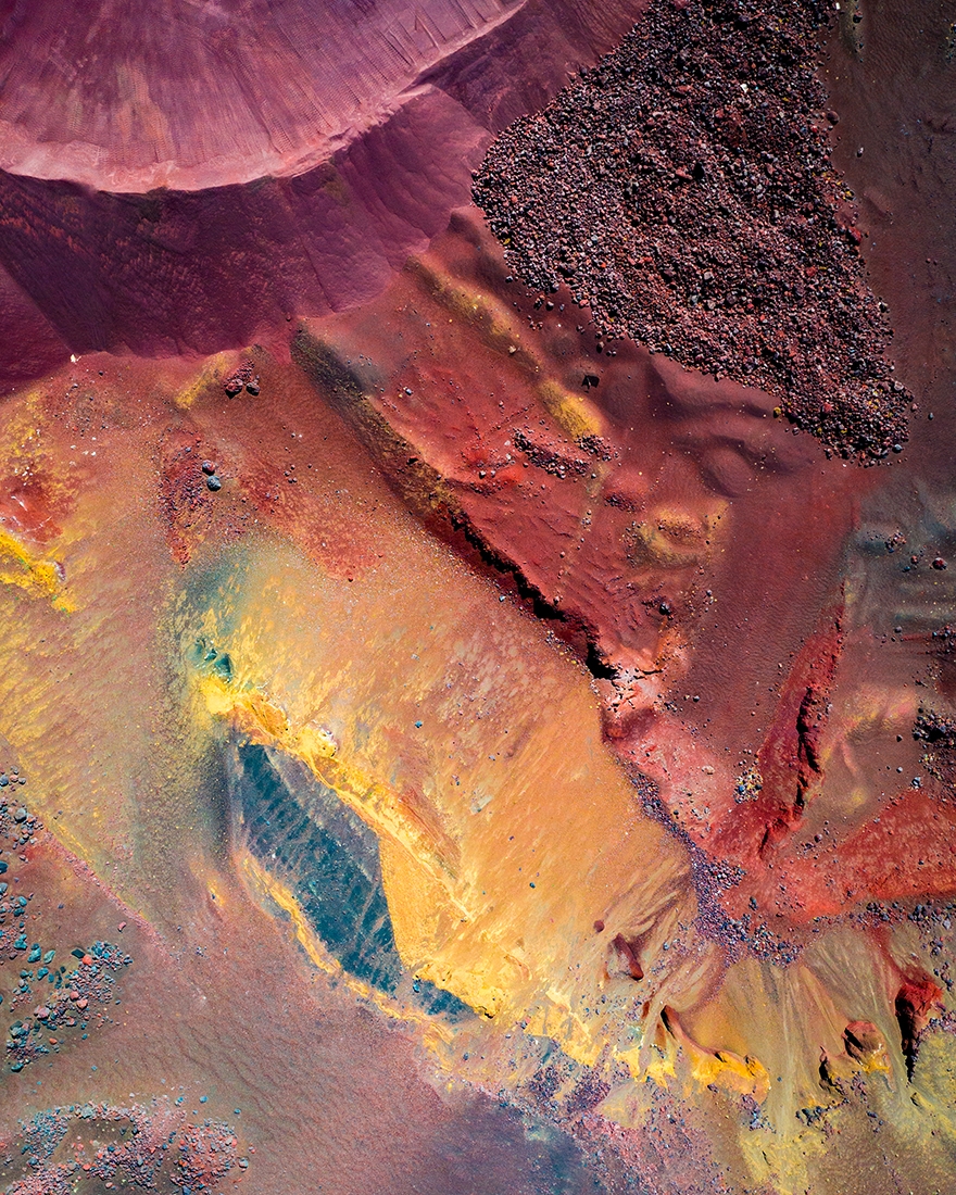 Nature's Paintbrush
