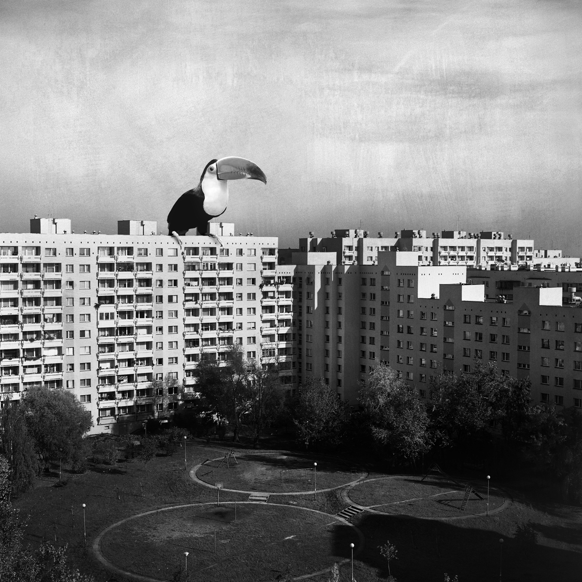 Event Horizon