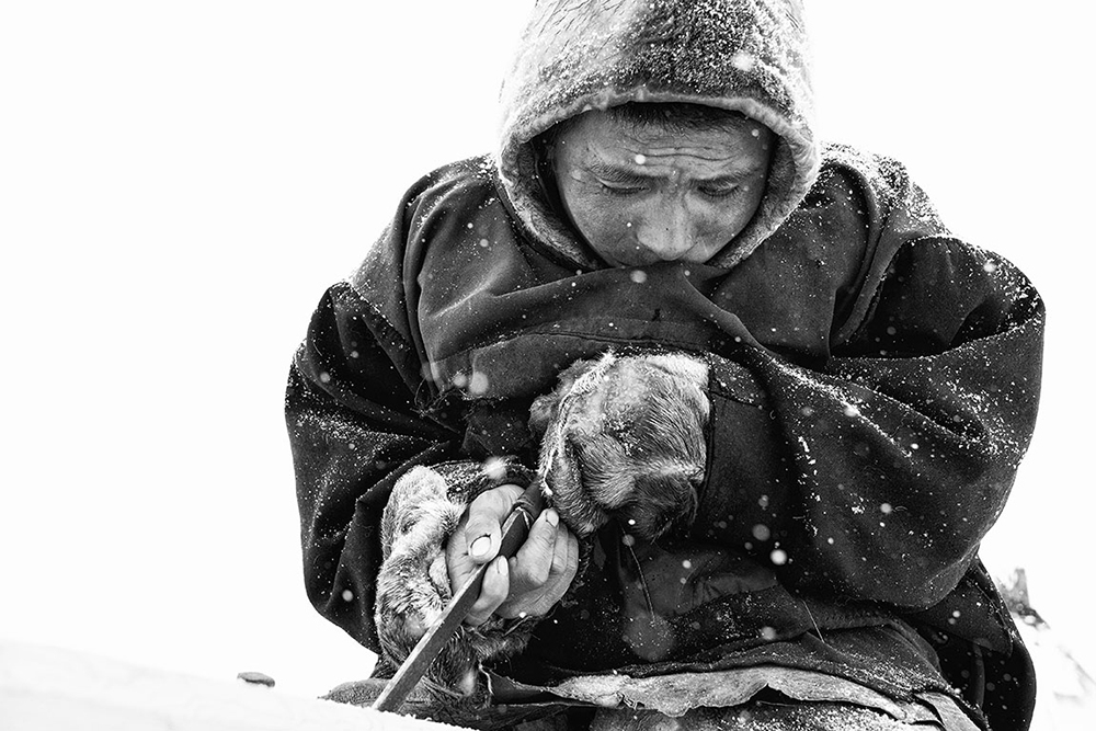 Nenets, The Reindeer Herders. The last nomads of the Arctic