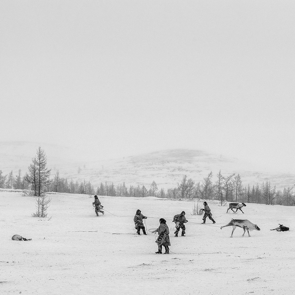 Nenets, The Reindeer Herders. The last nomads of the Arctic