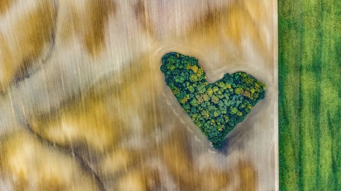 Heart-shaped trees