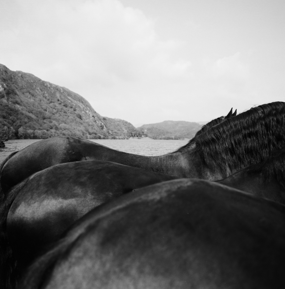 Snowdonia 