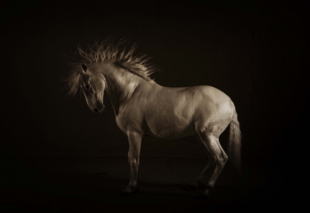 Helios 