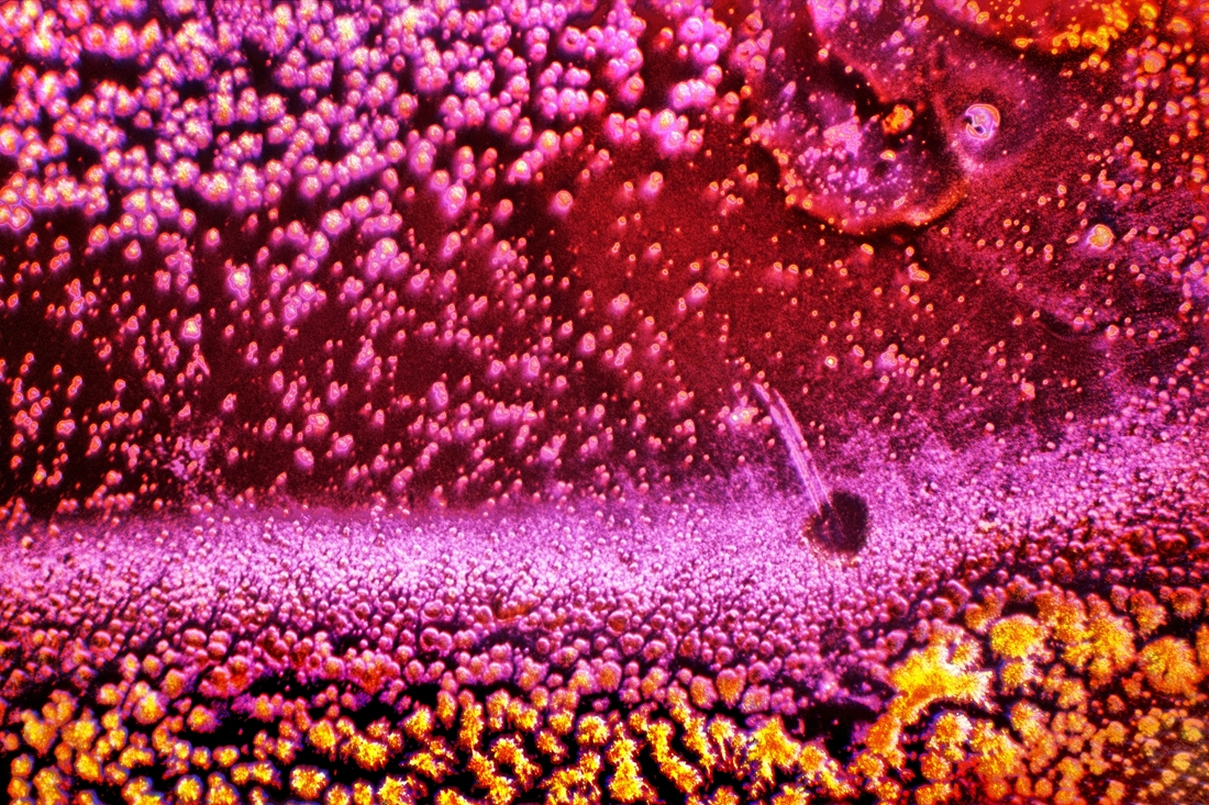 Crystallizations